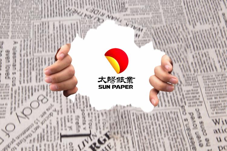 太阳纸业与玛雅云图科技 云图网与云图视觉的产业数字化实践